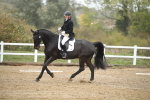 SBM_001415