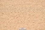 230720A-105522-02271