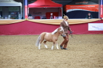 SBM_16073
