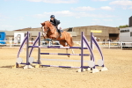 SBM_007316