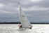 141025 ALCYONE WT7A8602