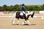 SBM_011835