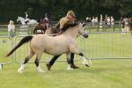 SBM_00493
