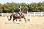 SBM_017375