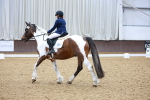 SBM_006750