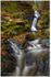 Maria's Falls Tollymore (IMG1107)