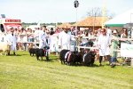 SBM_08294