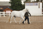 SBM_07730
