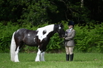 WJ7_1155
