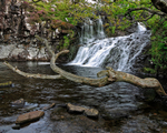Eas Fors Waterfall on the Isle of Mull
