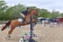 BPP_4965