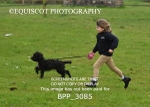 BPP_3085