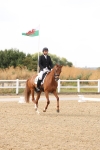 SBM_002011