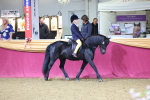 SBM_18888