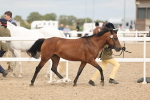 SBM_16968
