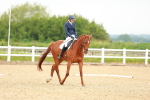 SBM_005630