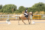 SBM_005047