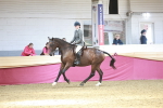 SBM_07158