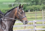 BPP_7612