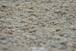 230708A-141601-03414