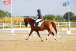 SBM_008135