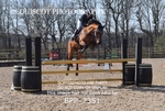 BPP_7351