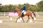 SBM_010868