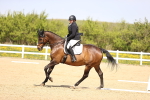 SBM_007941