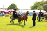 Class 2-4 - HOYS Private Driving portfolio