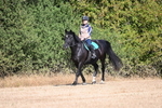 WJ6_7334