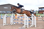 Cls 5 Foxhunter & 1.20m Open portfolio