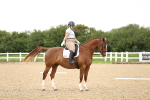 SBM_001913