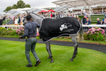210824-Race 6-Star Of Lady M-5870