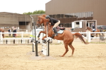 SBM_008493