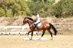 SBM_001638