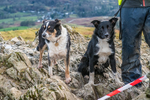 Loughrigg-13