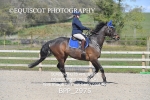 BPP_2975