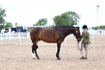 SBM_05748