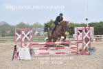 BPP_4406