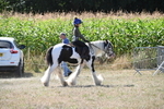 WJ6_8951