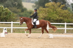 SBM_01460