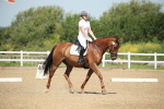 SBM_008680