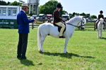 SBM_07790
