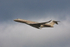 Bombardier Global 7500 VistaJet Malta 9H-VIC-5846
