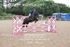 BPP_0463