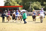 SBM_16665