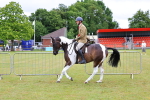 SBM_02639