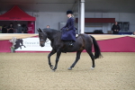 SBM_09331
