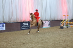 SBM_004238