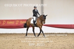 BPP_8221